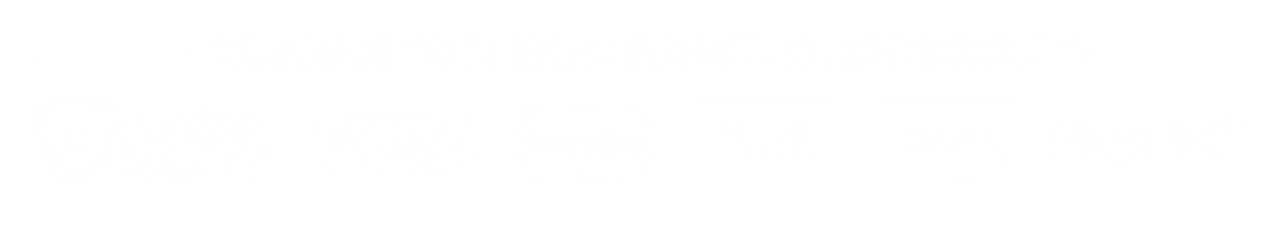 Guaranteed Safe & Secure Checkout